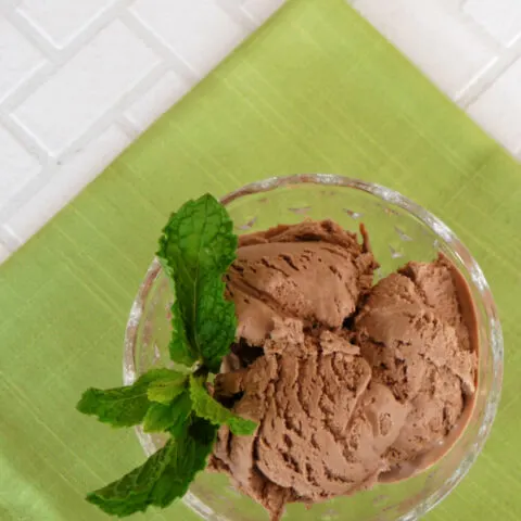 Low Carb Mint Chocolate Ice Cream