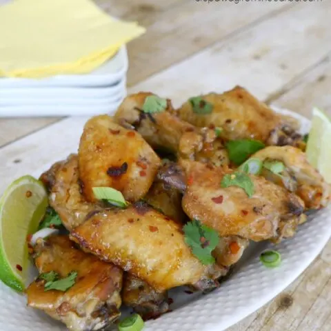 Asian Style Slow Cooked Chicken Wings
