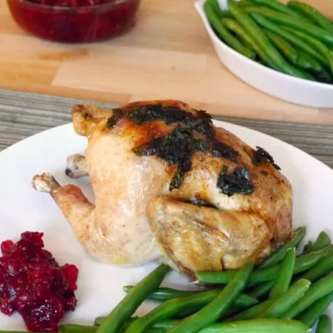 Cornish Hens with Cranberry Sauce