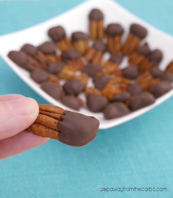 Low Carb Chocolate Dipped Pecans - a keto and sugar free treat or sweet snack!
