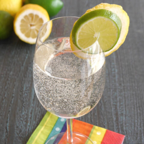 Low Carb White Wine Spritzer