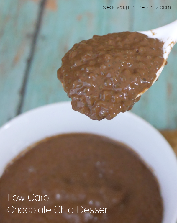 Low Carb Chocolate Chia Dessert - high in fiber and sugar free!