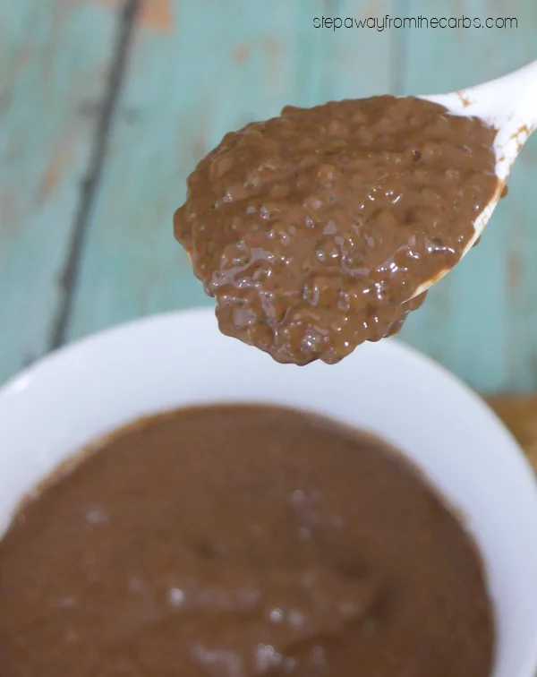 Low Carb Chocolate Chia Dessert - high in fiber and sugar free!