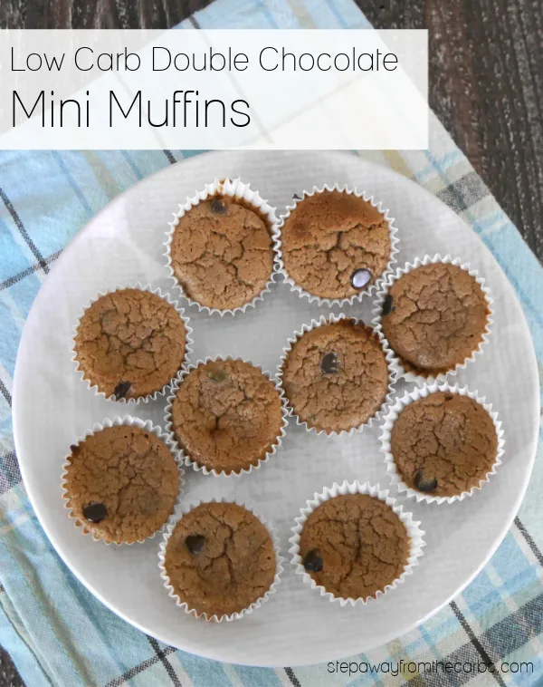 https://stepawayfromthecarbs.com/wp-content/uploads/2017/02/low-carb-double-chocolate-muffins-r.jpg.webp