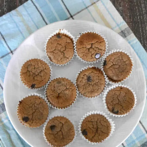 Low Carb Double Chocolate Mini Muffins