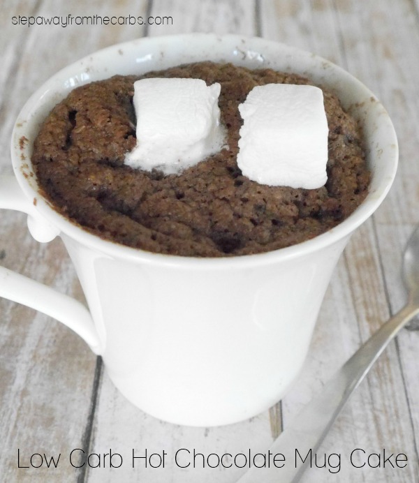 Low Carb Hot Chocolate Mug Cake - tasty sugar free and keto recipe