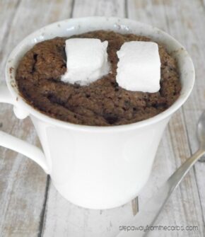 Low Carb Hot Chocolate Mug Cake - Step Away From The Carbs