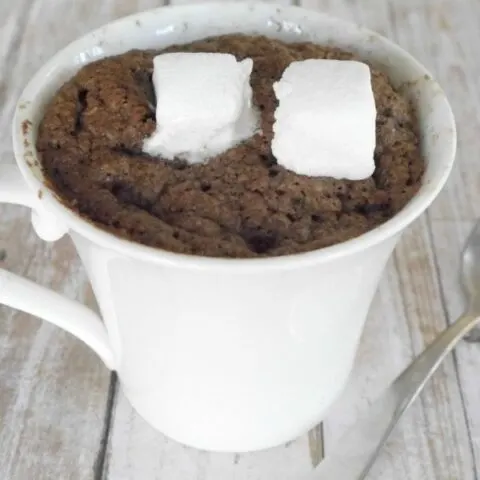 Low Carb Hot Chocolate Mug Cake