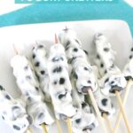 Frozen Blueberry Yogurt Skewers - low carb