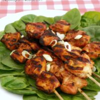 Marinated Chicken Skewers - Step Away From The Carbs