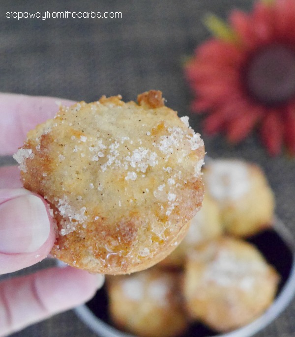 Low Carb Donut Bites with Apple and Cinnamon - and a review of Everyday Ketogenic Kitchen