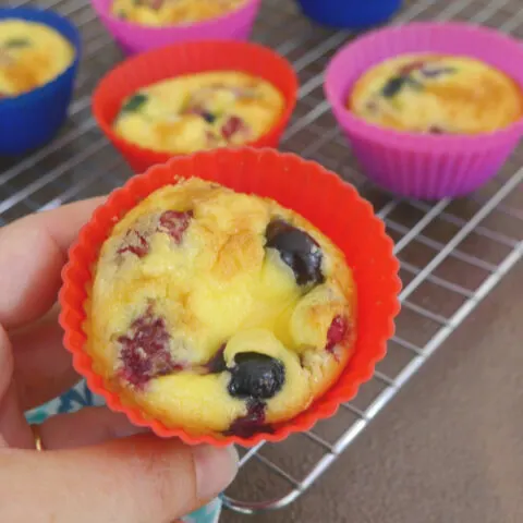 Low Carb Berry Breakfast Muffins