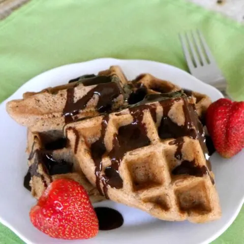 Low Carb Chocolate Waffles