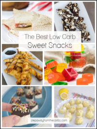 The Best Low Carb Sweet Snacks - Step Away From The Carbs