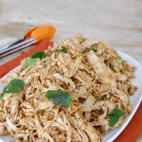 Low Carb Mexican Shredded Chicken