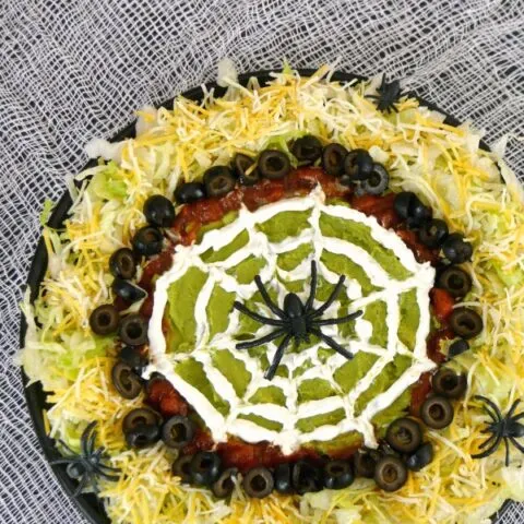 spider web dip