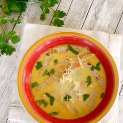 Low Carb Chicken Tortilla Soup