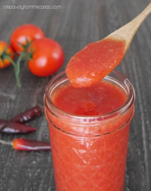Low Carb Chipotle Ketchup - a spicy and tangy condiment made from fresh tomatoes! Sugar free and keto recipe.