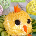 Easter Chick Cheese Ball - keto and low carb