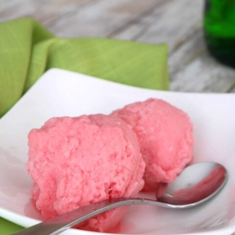 Low Carb Rhubarb Sorbet with Gin