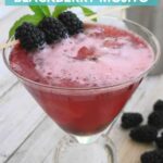 Low Carb Blackberry Mojito