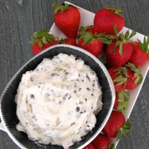 Low Carb Chocolate Chip Dip