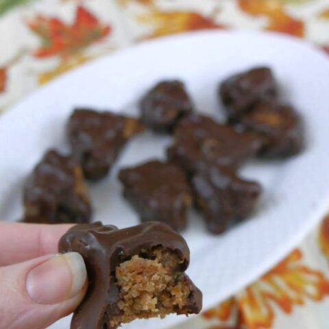Low Carb Chocolate Cookie Clusters