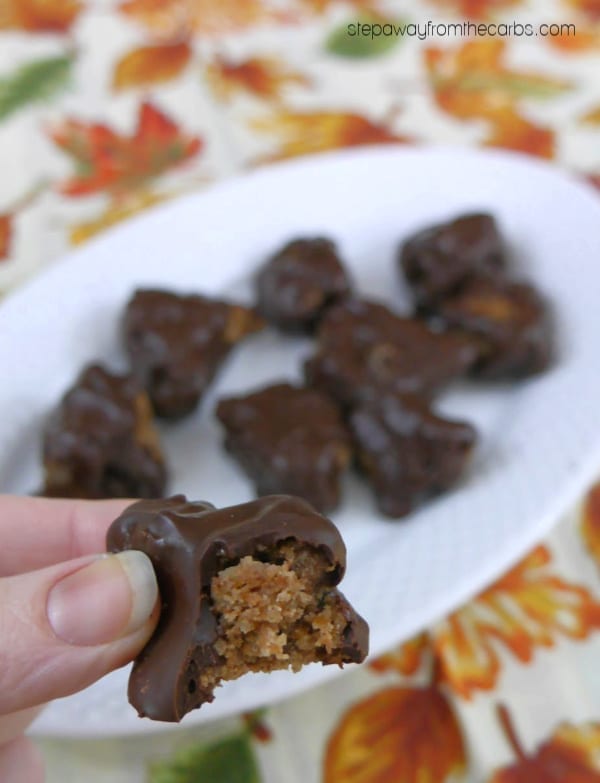 Low Carb Chocolate Cookie Clusters - only 2 ingredients! Sugar free, gluten free, and keto friendly recipe.