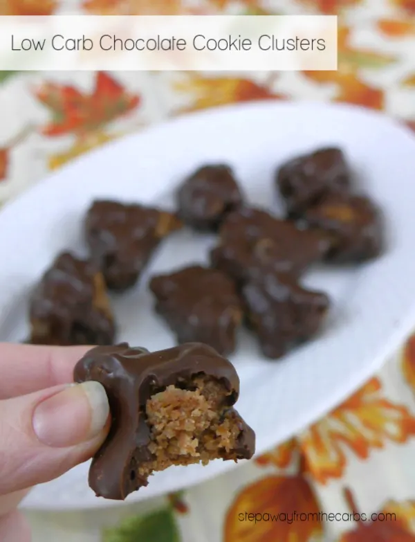 Low Carb Chocolate Cookie Clusters - made with Lolli's