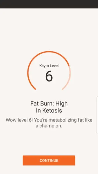 My Review of Keyto - the Keto Device and App