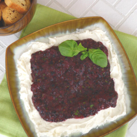 Low Carb Blueberry and Cream Cheese Dip