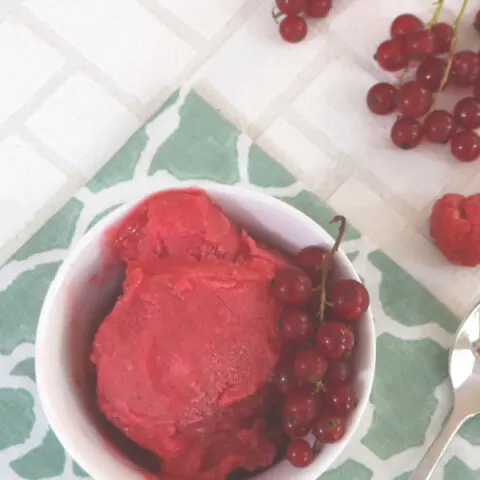 Low Carb Raspberry and Redcurrant Sorbet