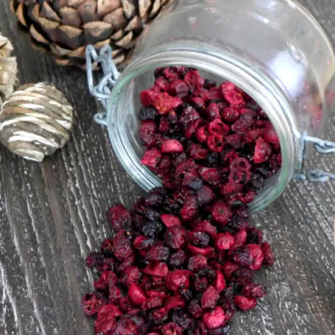 Low Carb Dried Cranberries