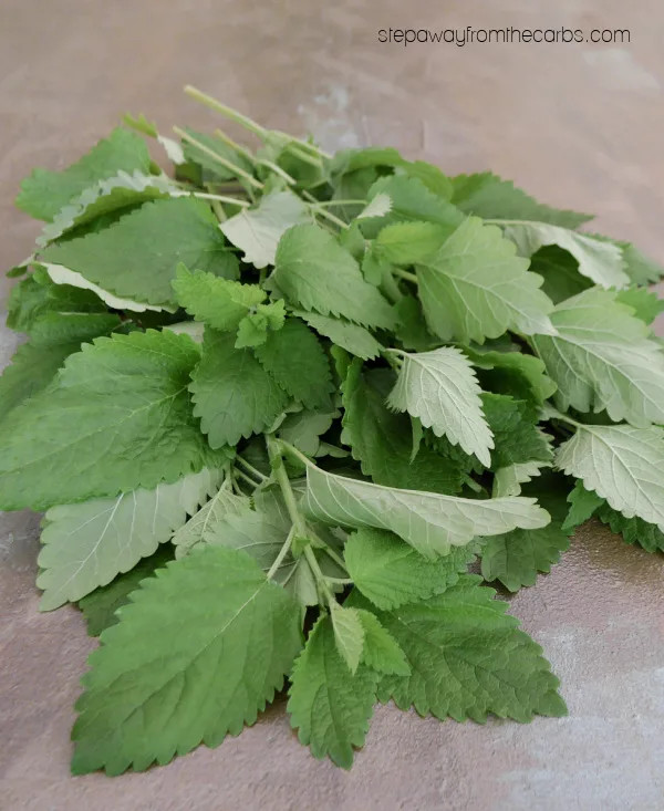 Fresh Lemon Balm - Uses for Leftover Herbs