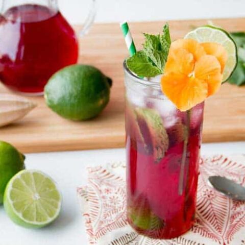 Hibiscus Lime Spritzer Cocktail