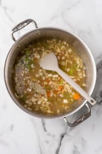 kale and chicken soup