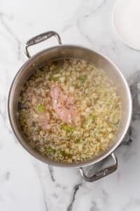 kale and chicken soup