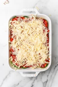 zucchini lasagna rolls