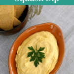 Butternut squash dip Pinterest pin with recipe title