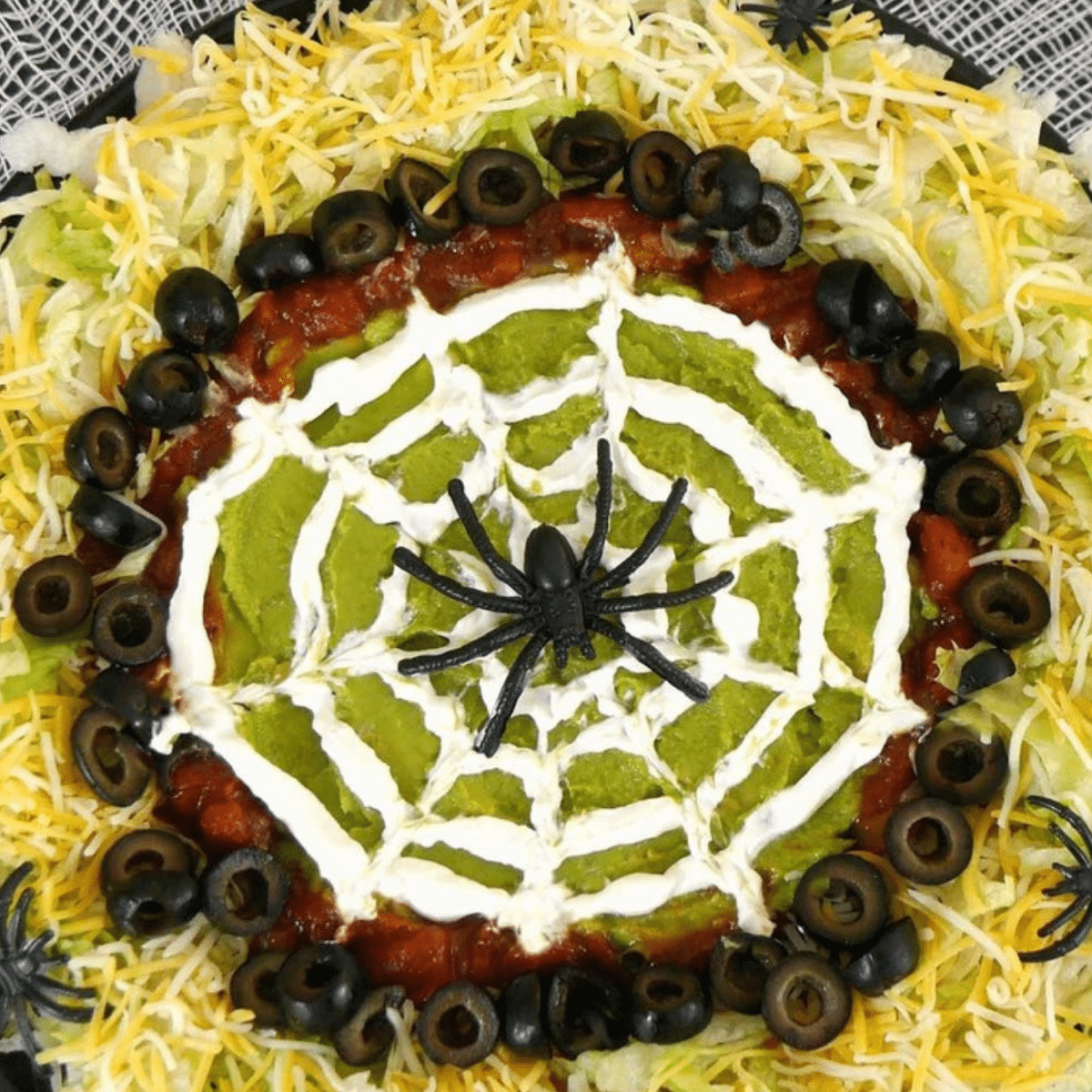 Halloween spider web dip with a sour cream spider web over guacamole, ringed with salsa, black olives, lettuce and shredded cheese
