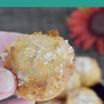 Keto Apple Cinnamon Donut Bites Pinterest pin showing a hand holding a cinnamon-coated donut bite