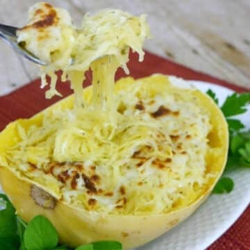 Low carb cheesy spaghetti squash in the shell with a forkful of melted cheese