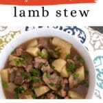 Low Carb Lamb Stew Pinterest pin with a bowl of lamb, turnip and mushroom stew
