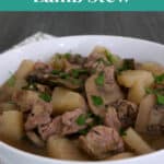 Low Carb Lamb Stew Pinterest pin showing a white bowl of lamb stew with turnips