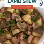 Low Carb Lamb Stew Pinterest pin with an overhead bowl of keto lamb stew