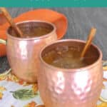 Low Carb Pumpkin Moscow Mule Pinterest pin with two copper mugs and cinnamon sticks