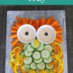 Owl Veggie Tray made from carrots, cucumber, peppers and celery