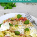 Spaghetti Squash with Burrata and Roasted Cherry Tomatoes - low carb recipe pin