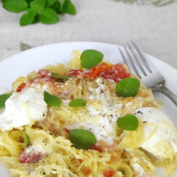 Spaghetti squash with burrata, roasted cherry tomatoes and fresh oregano on a white plate