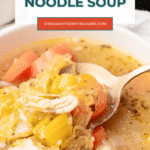 Spoonful of spaghetti squash noodle soup with chicken and celery, Pinterest pin